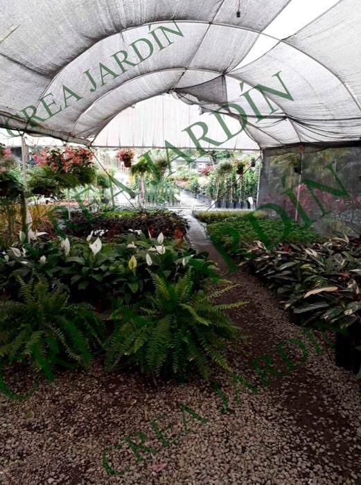 CREA JARDÍN