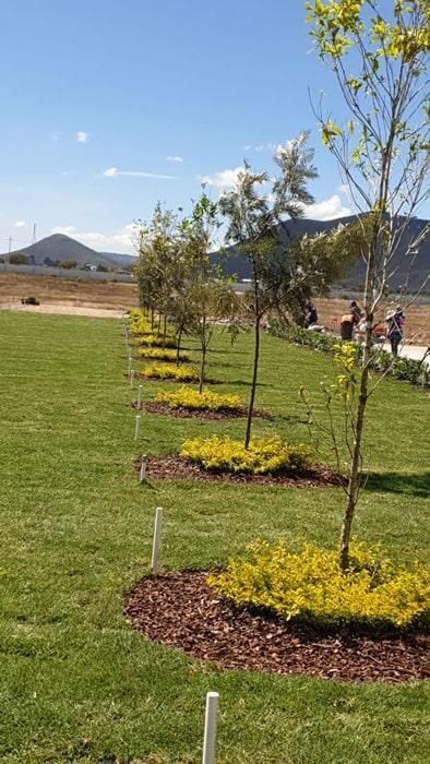 CREA JARDÍN