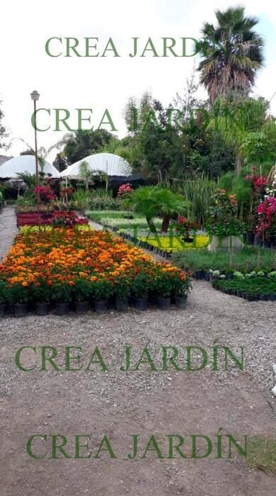 CREA JARDÍN