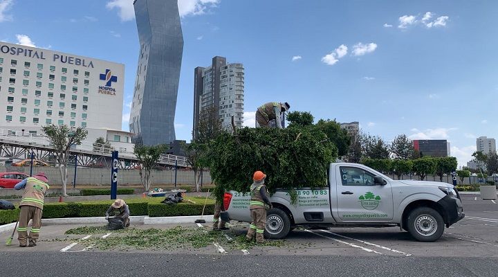 CREA JARDÍN