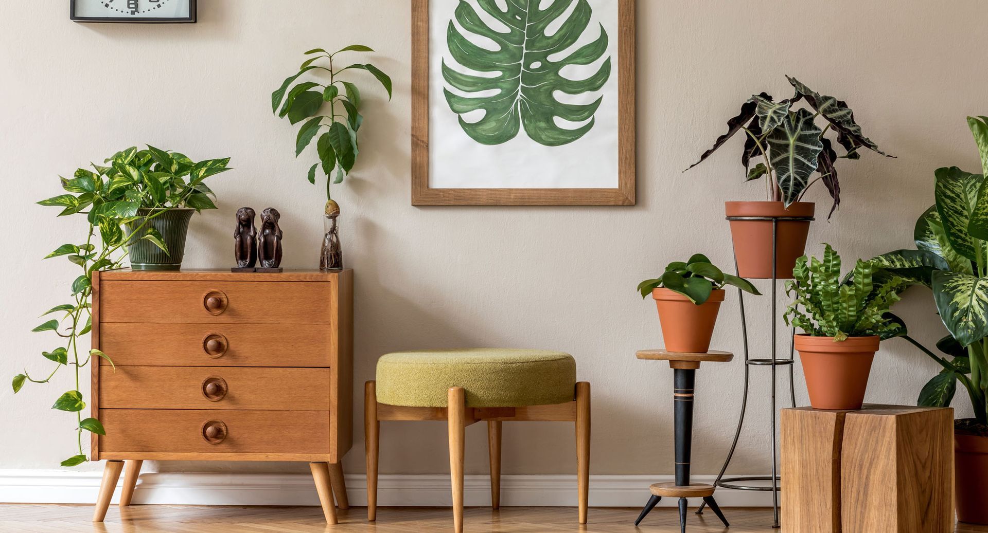 PLANTAS EN INTERIORES