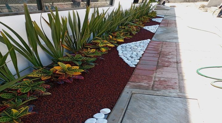 CREA JARDÍN