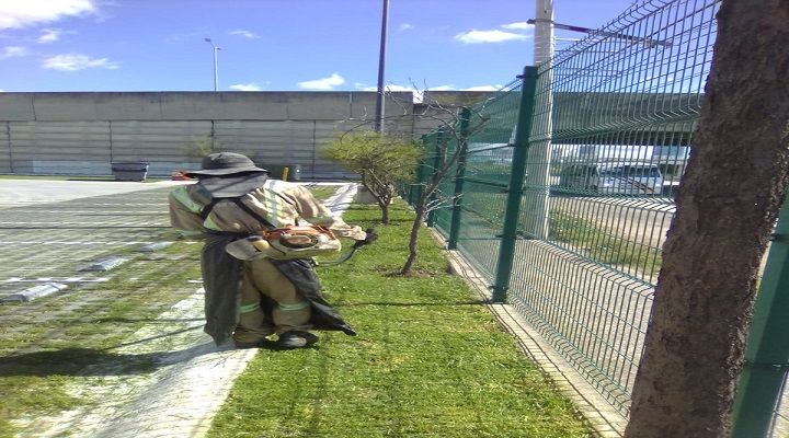CREA JARDÍN