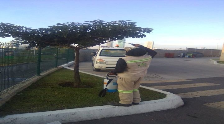 CREA JARDÍN