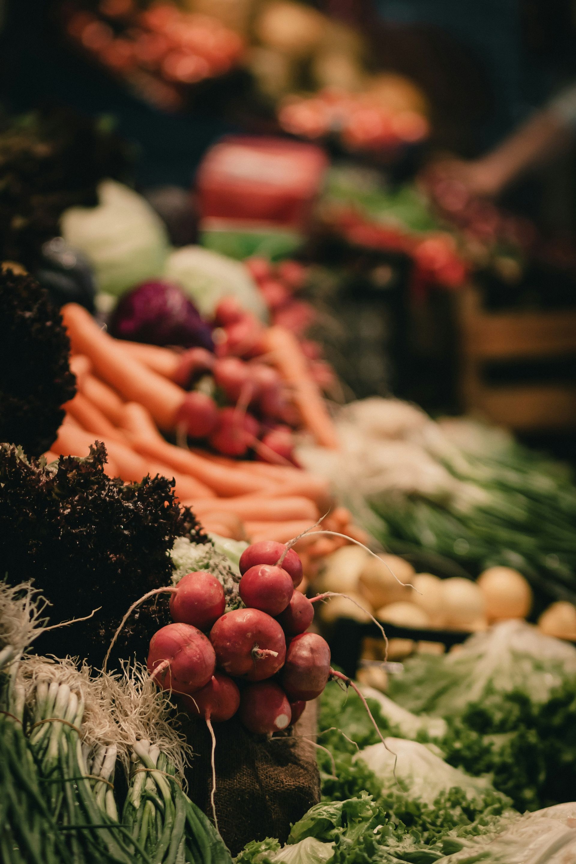 Fresh produce at a market: carrots, radishes, lettuce, onions, and cabbage in vibrant colors.