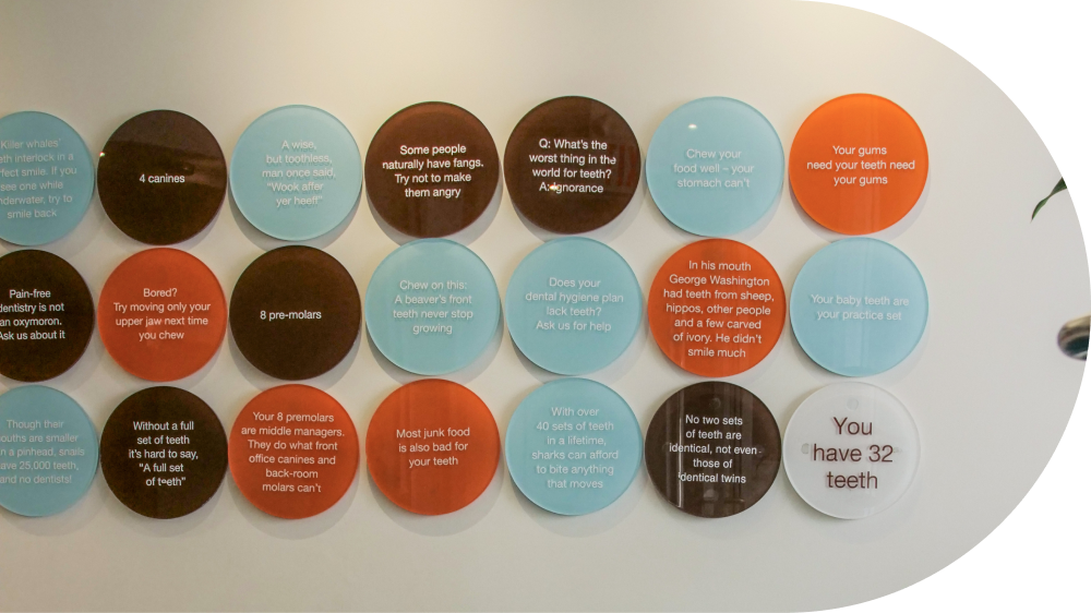 A bunch of circles on a wall with one that says you have 32 teeth