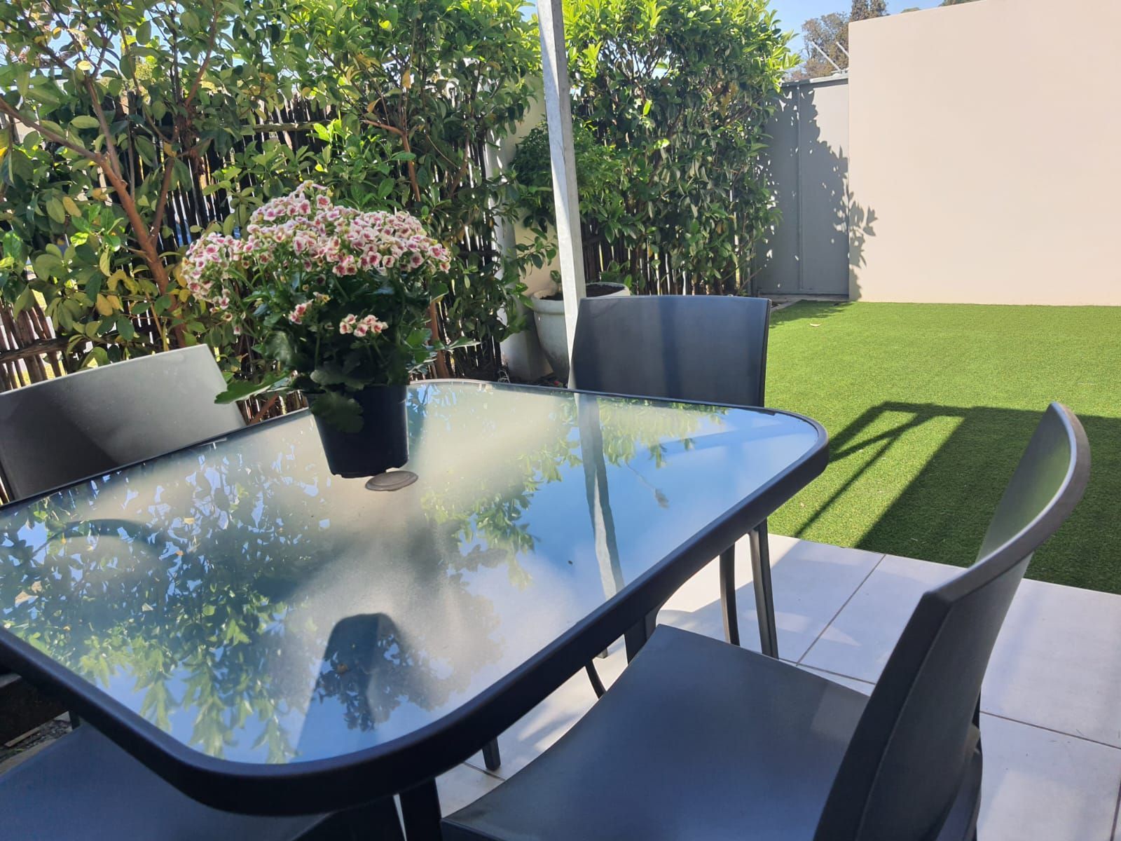 A glass table with a potted plant on top of it