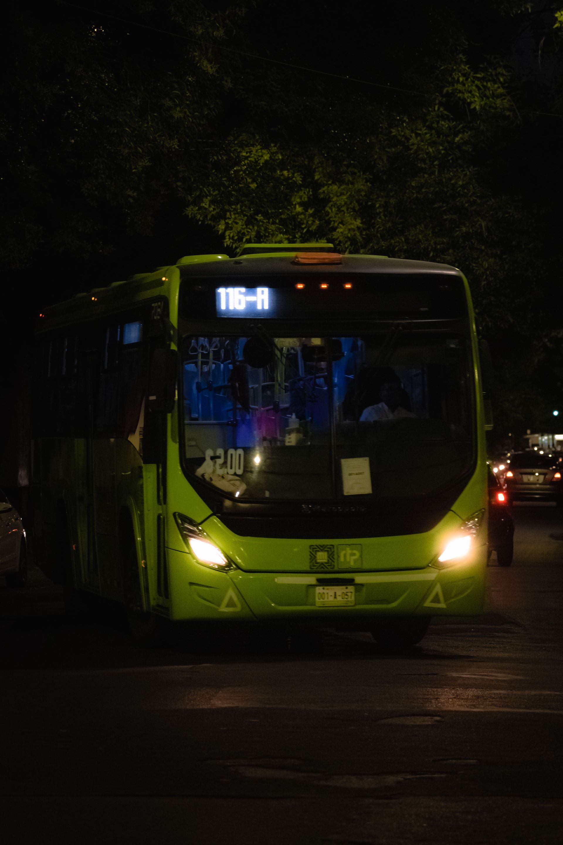 Green city bus at night with headlights on, stopped on a dark street.