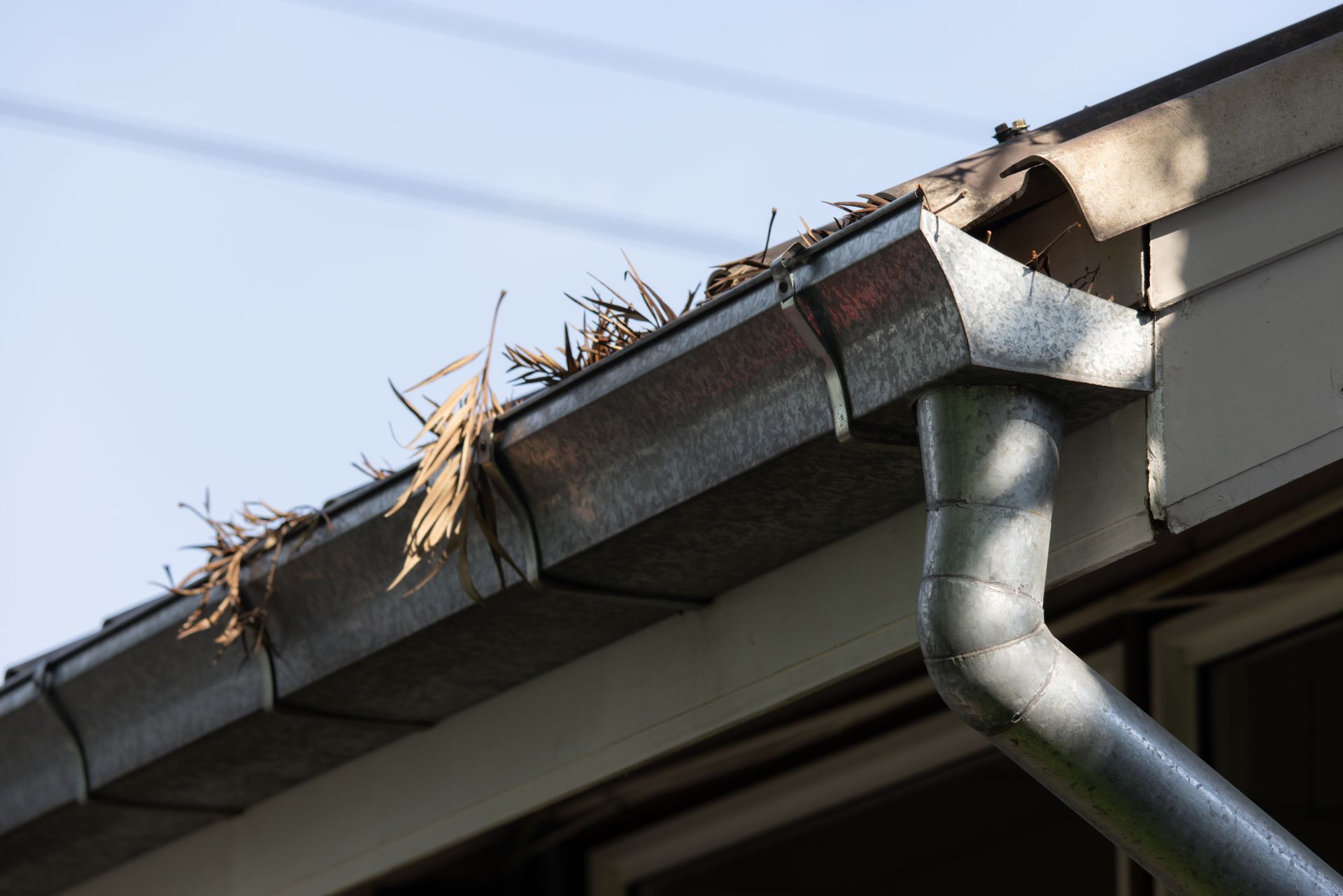 Clogged gutter