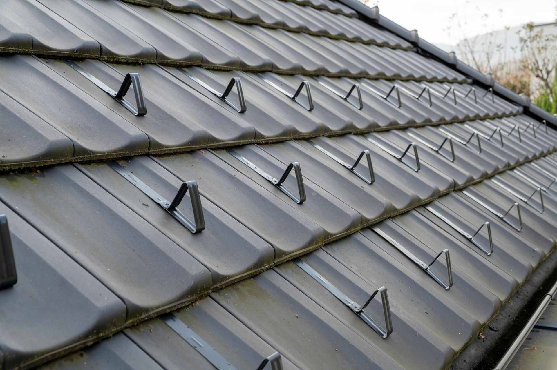 Snow guard for roof