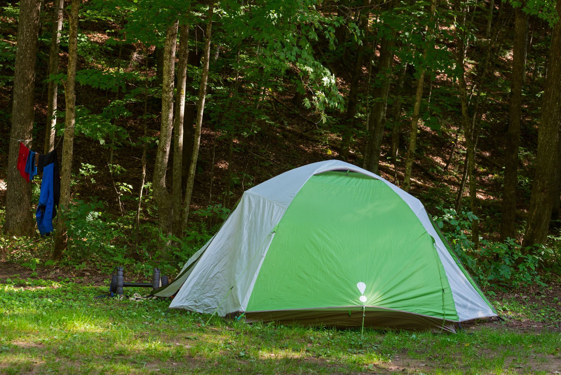 A green and white tent is sitting in the middle of a forest.