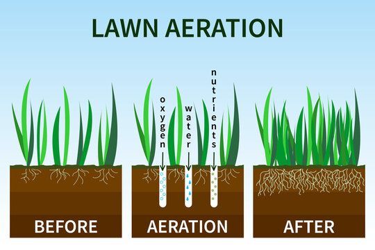 Aeration - Services - KDM Outdoor Services