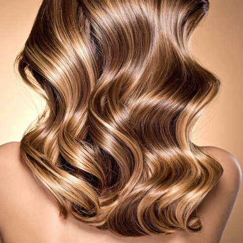 Highlights