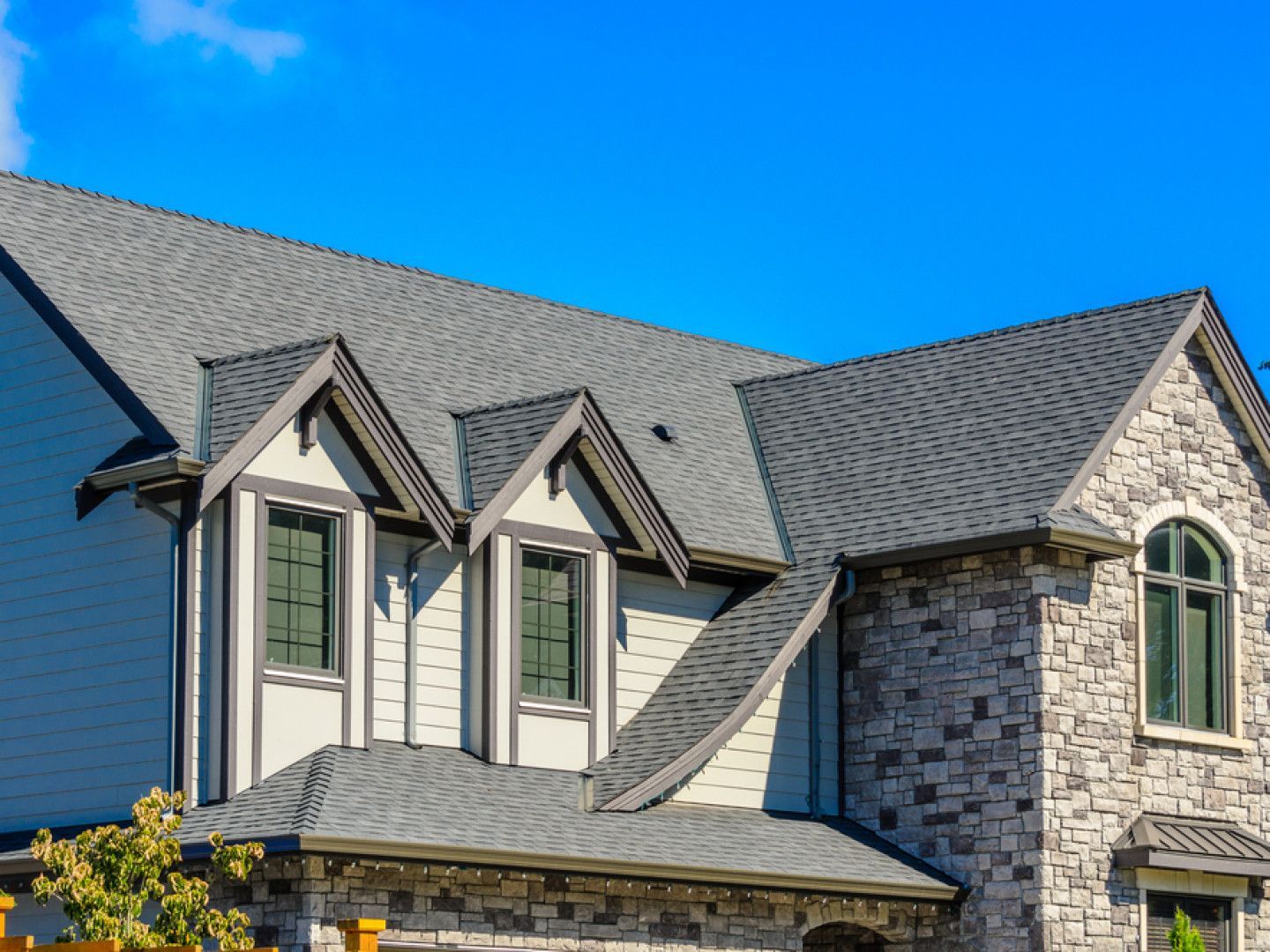 shingle roof