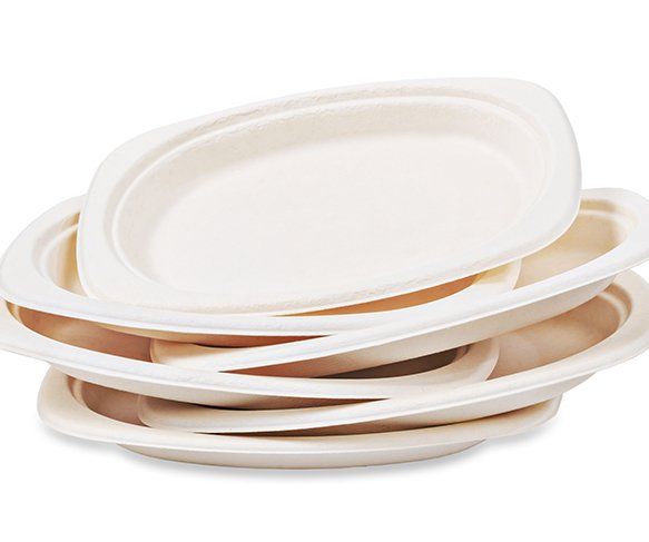 Foam Plates | Tulsa, OK | Bewley Sweeper and Janitorial Supply