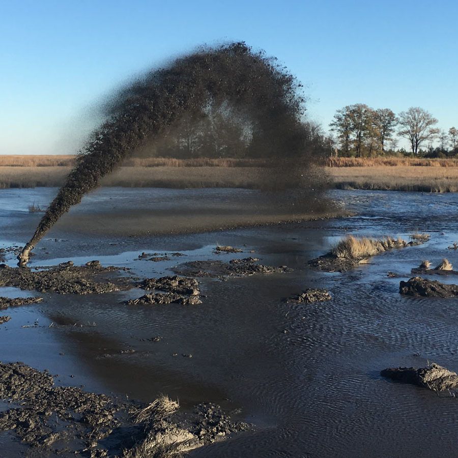 mud mud