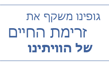 גופינו משקף את זרימת החיים של הוויתינו