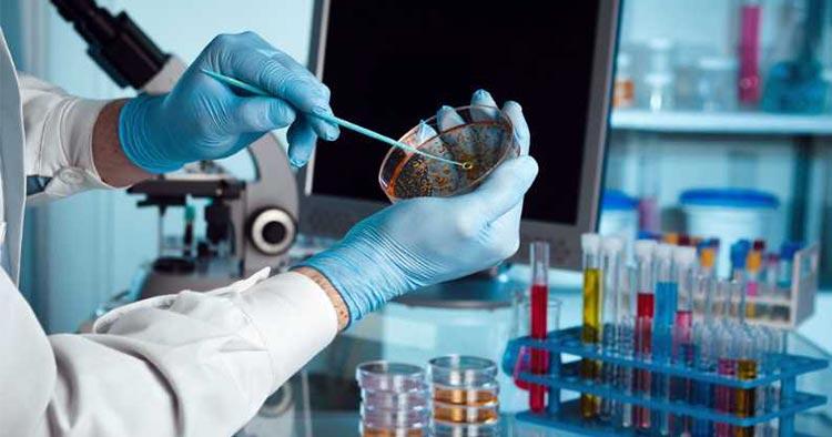 LABORATORIO CLÍNICO BACTERIOLÓGICO PEDRAZA - PERFIL HORMONAL