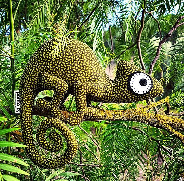 Camaleon*PontoLX