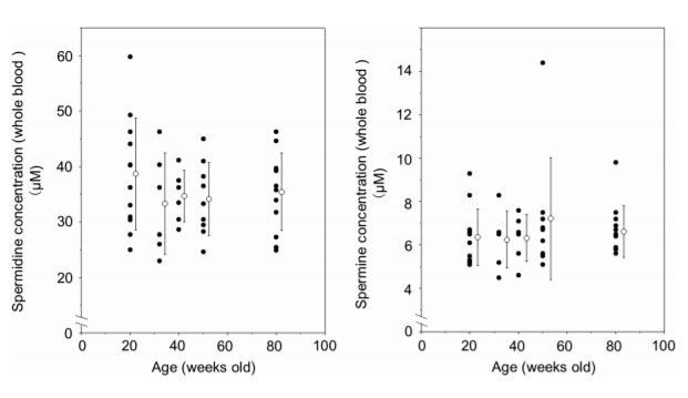 Spermine and gene methylation: a mechanism of lifespan extension induced by polyamine‑rich diet