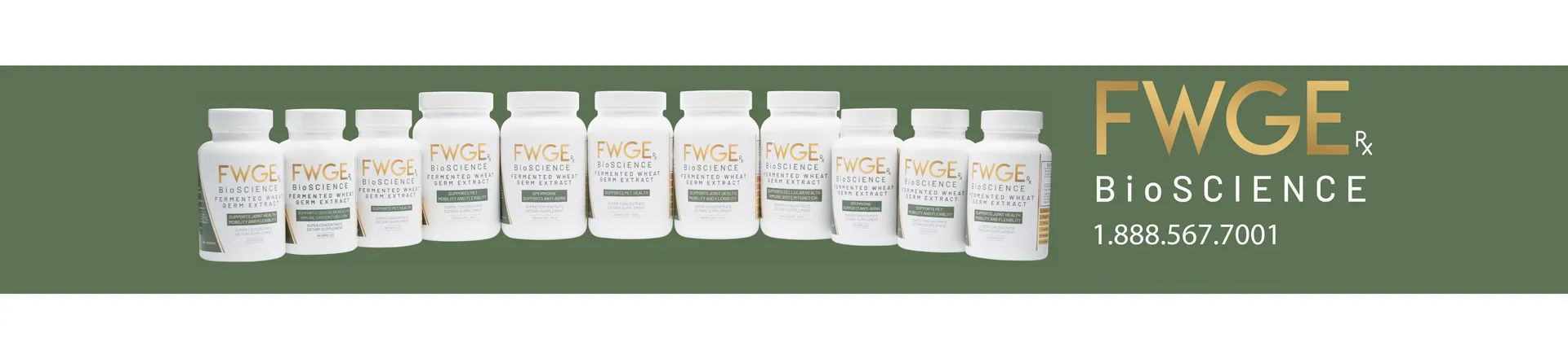 Everybody Benefits from FWGE BioScience Fermented Wheat Germ Extract Super Concentrate Everybody Benefits from FWGE BioScience Fermented Wheat Germ Extract Super Concentrate