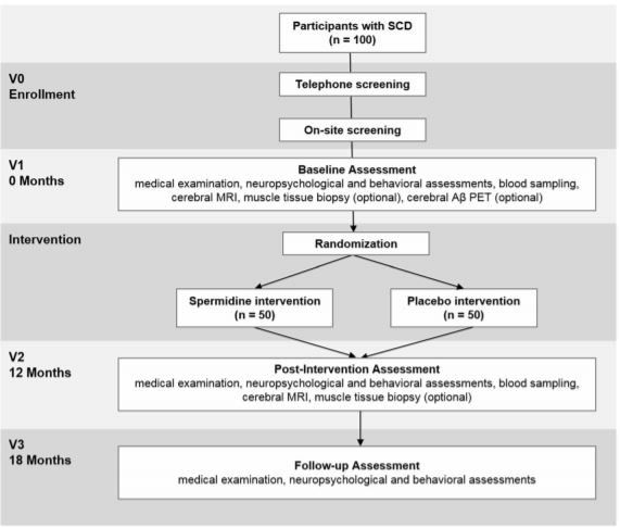 Effects of spermidine supplementation on cognition and biomarkers in older adults with subjective cognitive decline (SmartAge)&mdash;study protocol for a randomized controlled trial