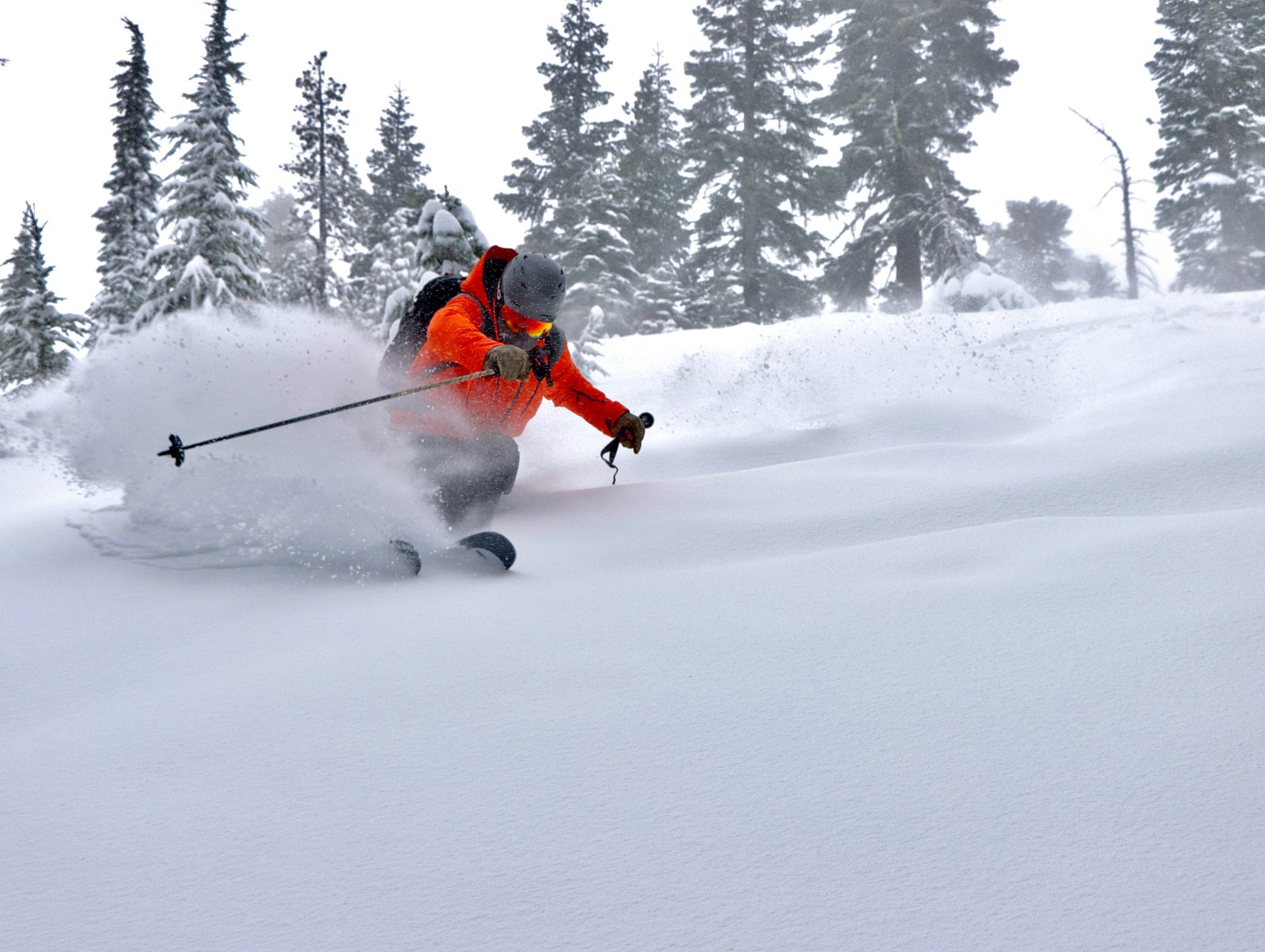 Bear Valley, CA, Added To The Powder Alliance For 23/24