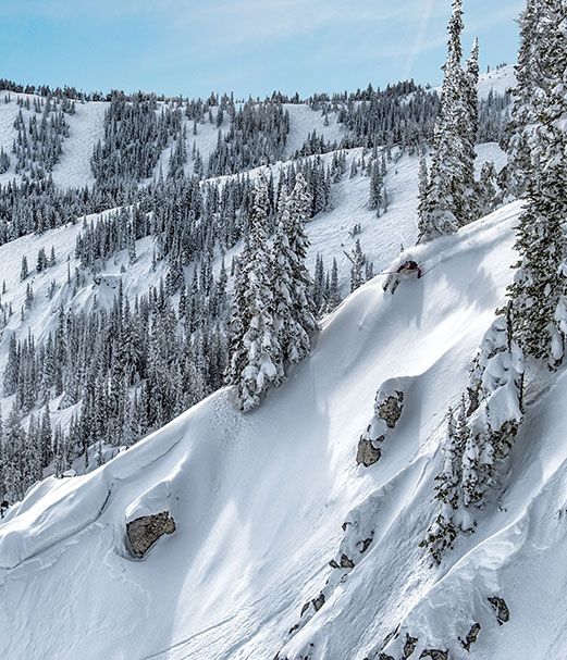 Powder Alliance 63 Free Days Around the Globe