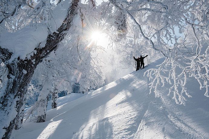 snow-img