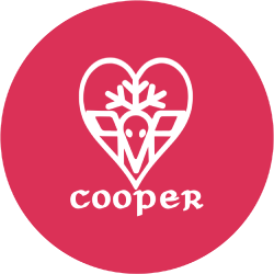 Ski Cooper Pin