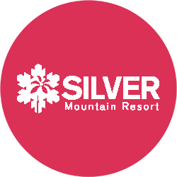 Silver Mountain Pin