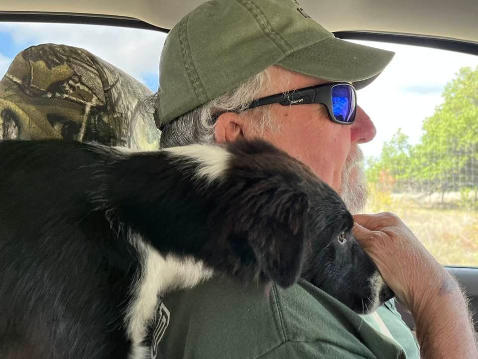 A man is sitting in a car with a black and white dog on his lap.