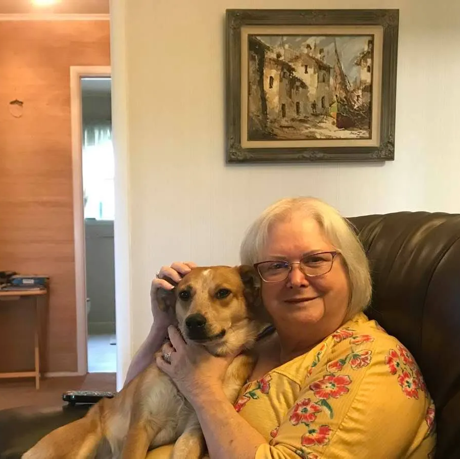 A Woman In A Yellow Shirt Is Holding A Brown Dog