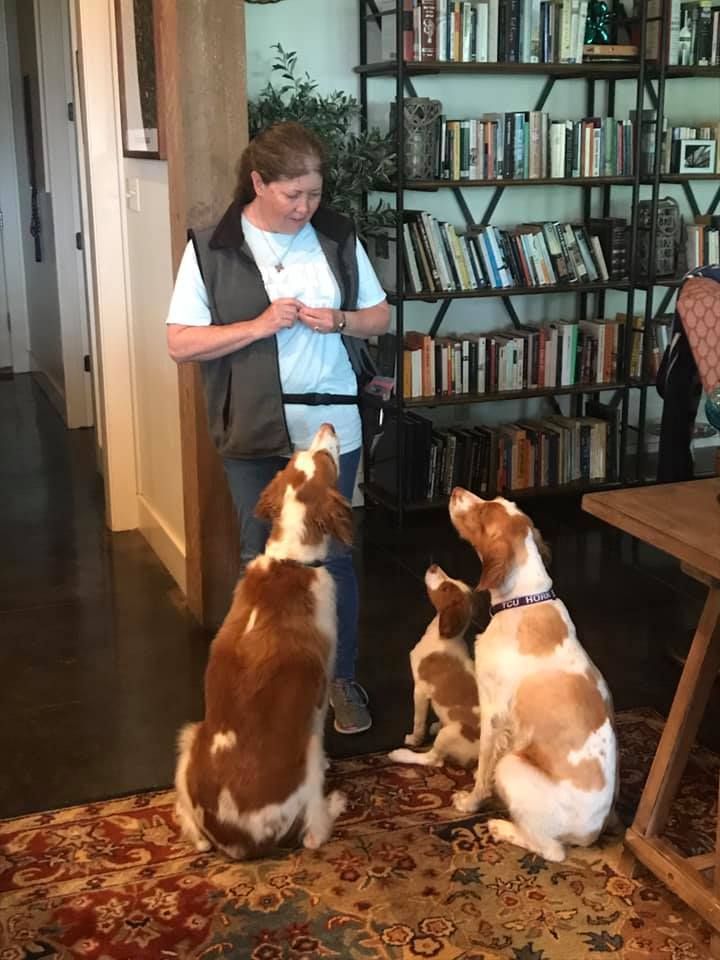 A Woman Standing Next To Two Dogs