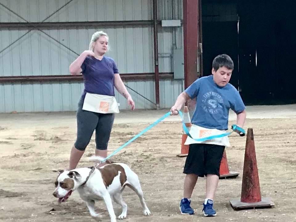 A Boy Walking A Dog