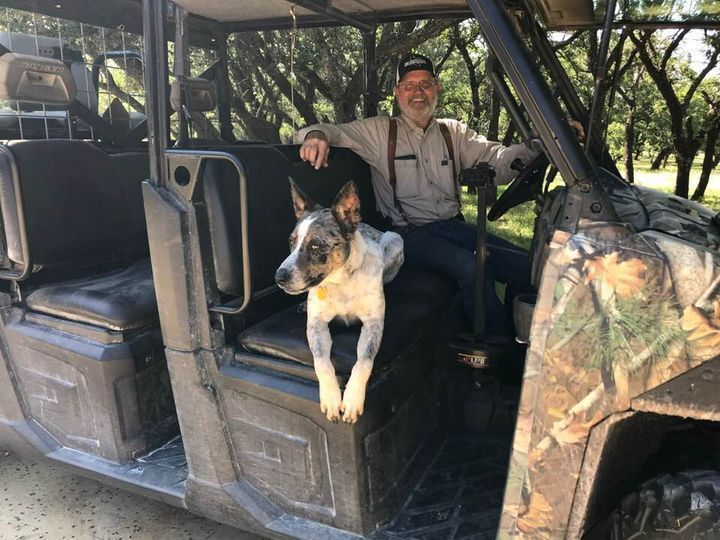 A Man Is Sitting In A Vehicle With A Dog On The Back Seat