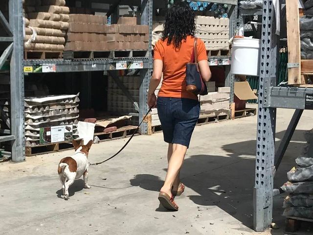 A woman is walking a small dog on a leash in a store