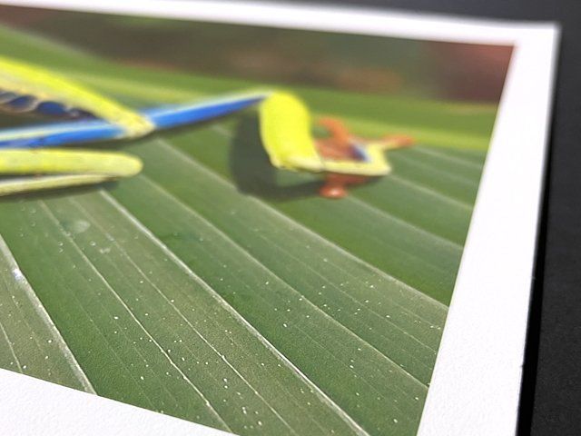 Hahnemühle Photo Rag®