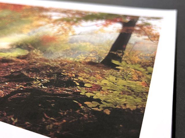 Matte Art