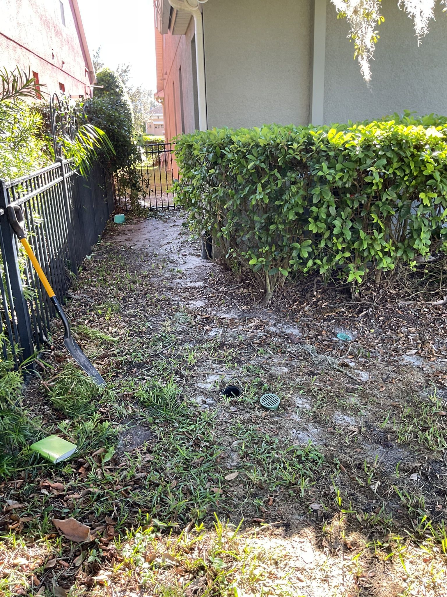 Narrow side yard with fallen leaves, hedge, and black fence beside a house in bright sunlight