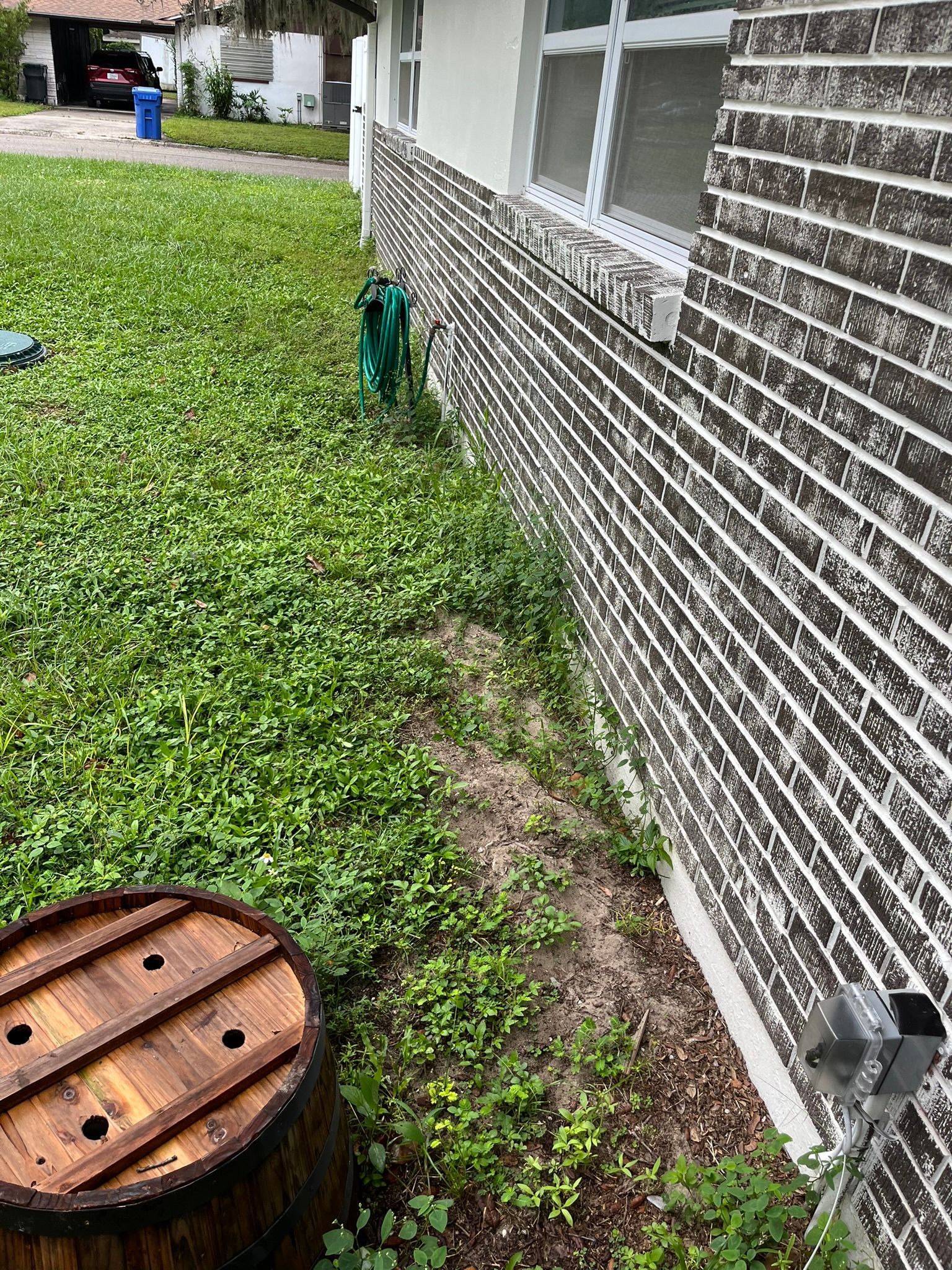 Backyard beside a brick house, with a round wooden lid in the grass and a green hose near the wall.