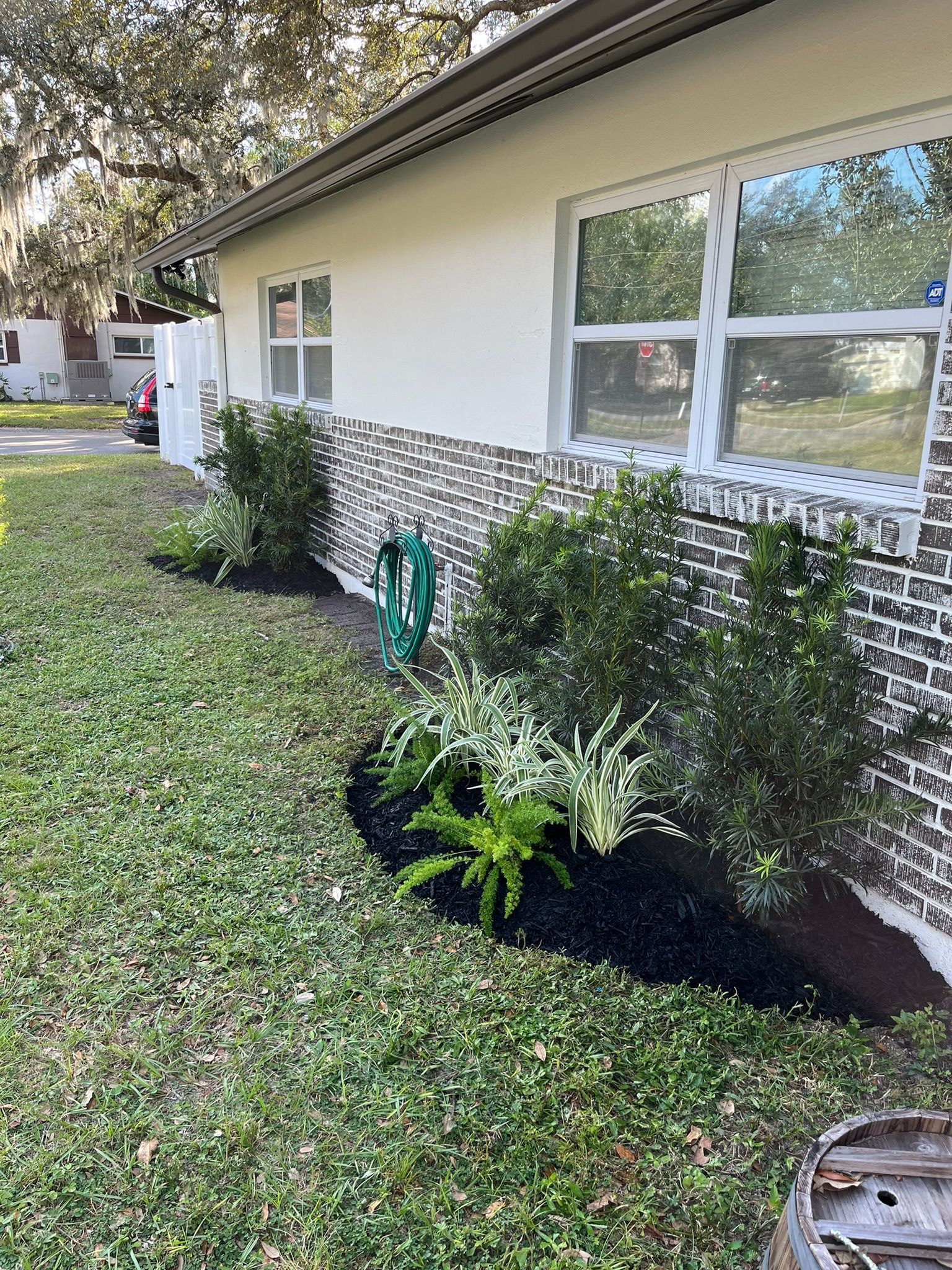 Front yard garden bed along a house, with shrubs and fresh dark mulch by windows.