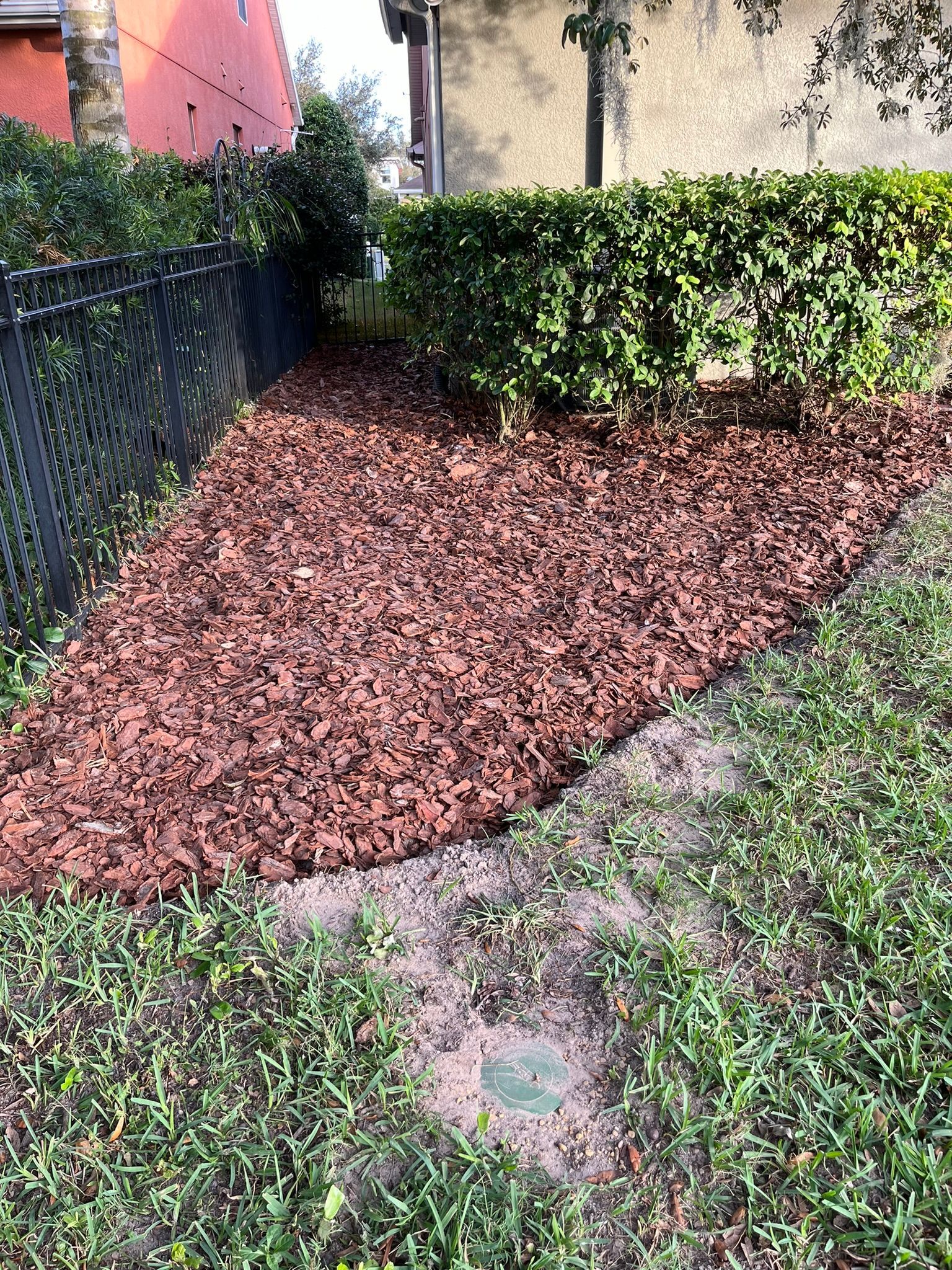 Mulched garden bed with red-brown bark, bordered by green shrubs, next to a black fence and grass path.