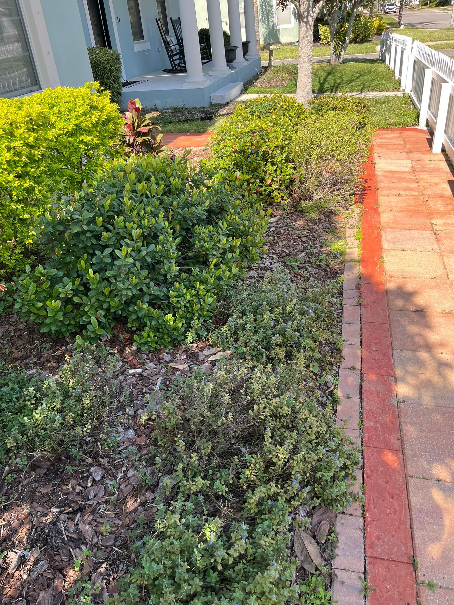 Front yard landscaping with green shrubs, a brick border, and a walkway by a house porch.