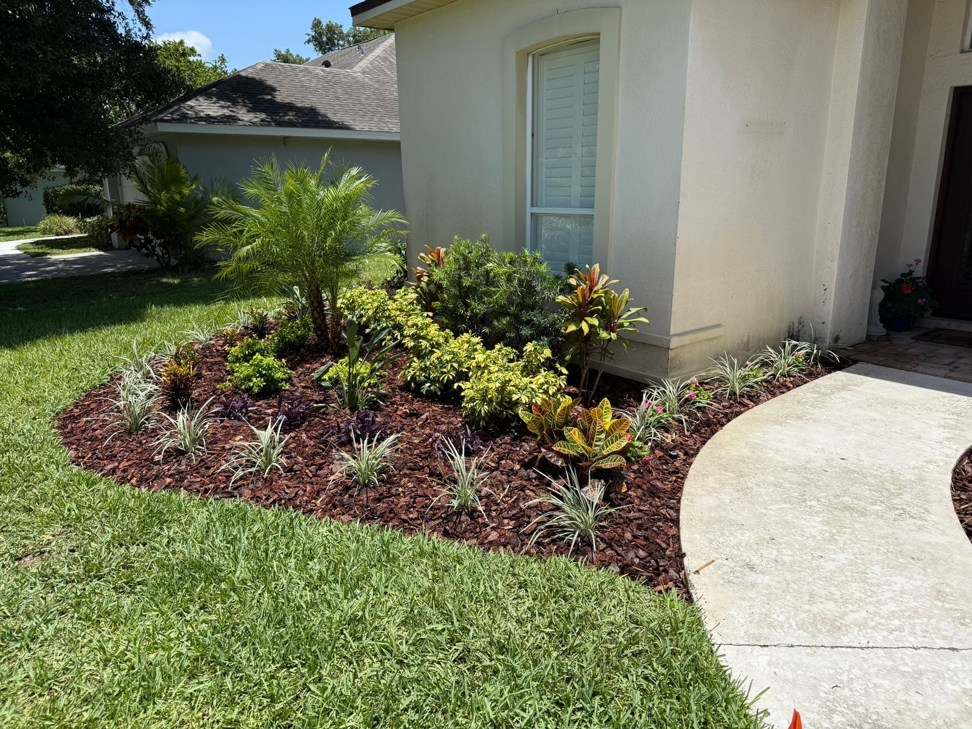 Landscaped front yard with shrubs and mulch beside a cream-colored house and curved walkway