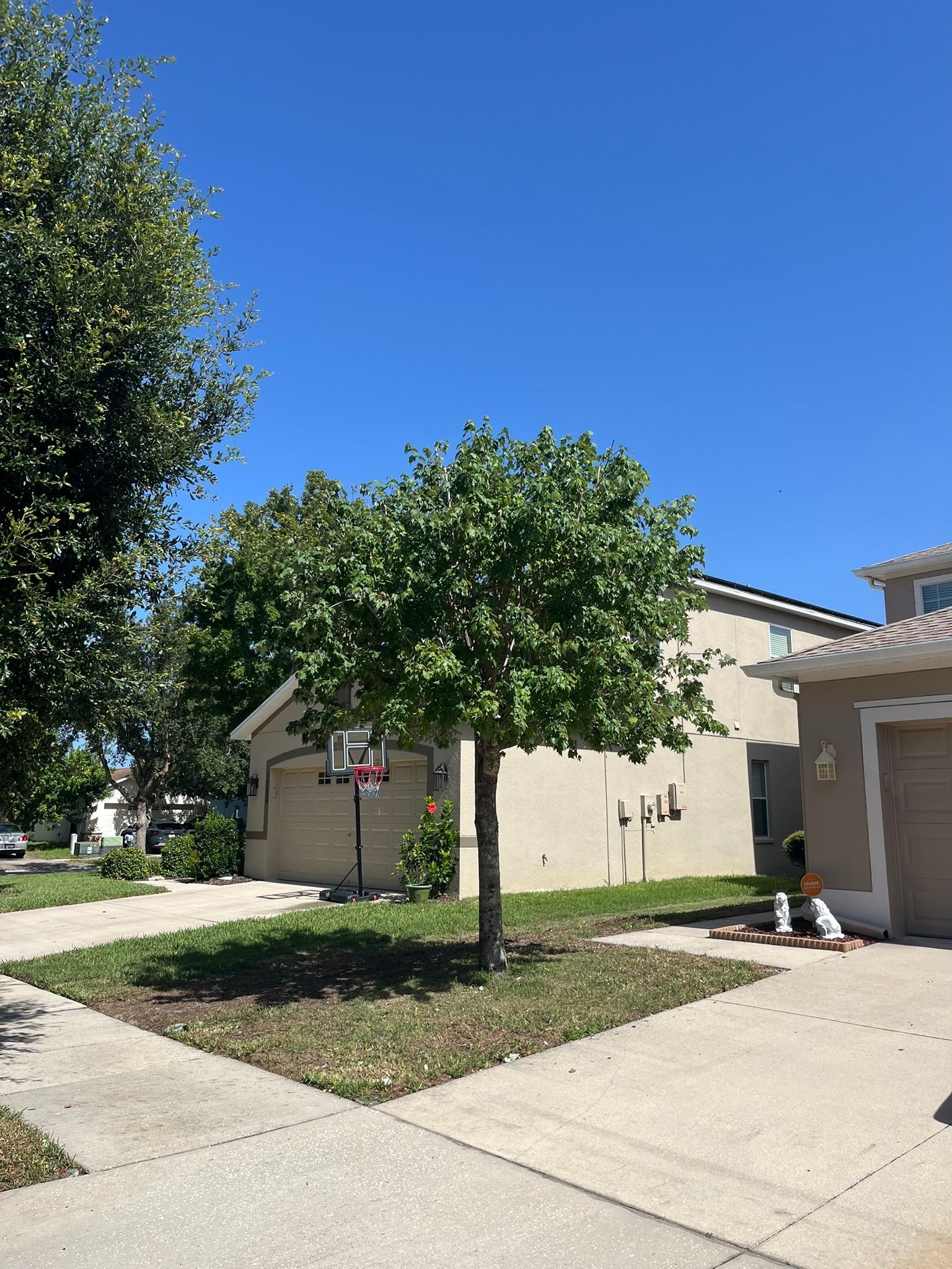 Suburban house with small tree, driveway, and clear blue sky on a sunny day