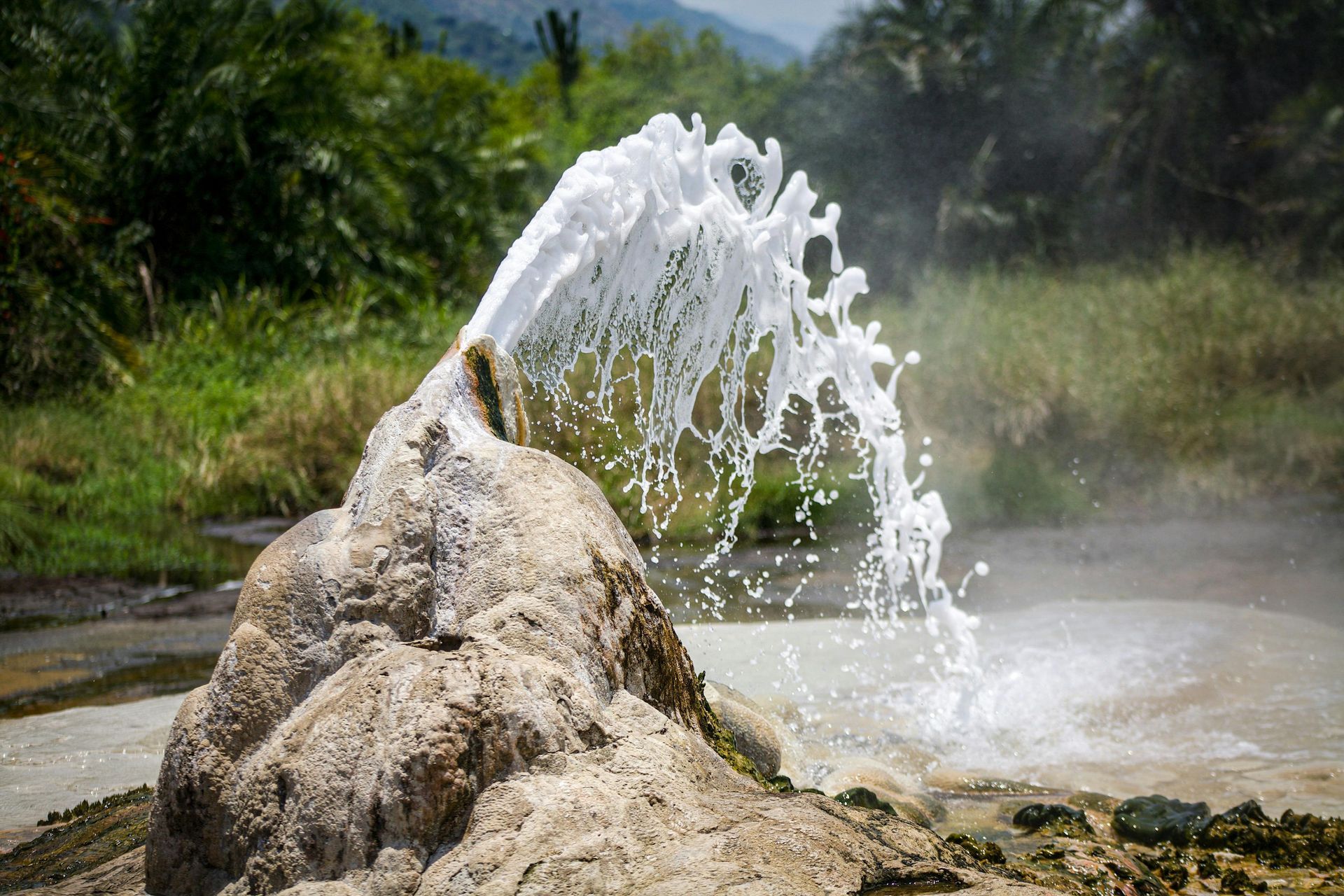 Water geyser erupting from a rock in a grassy natural landscape