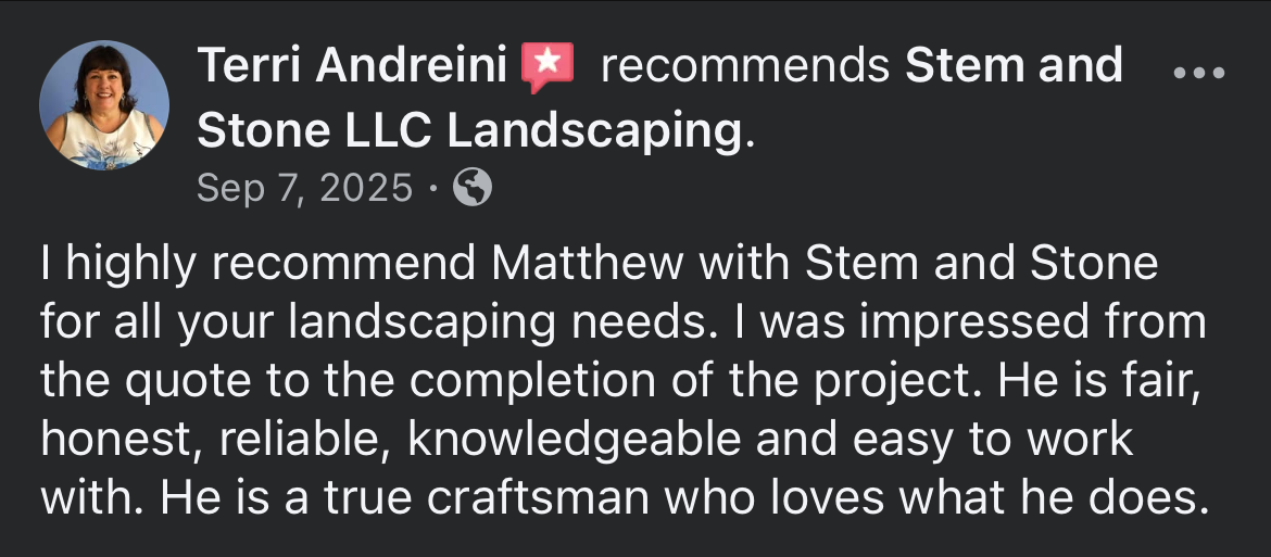 Screenshot of a LinkedIn recommendation for Stem and Stone LLC by Terri Andreini, praising their workmanship