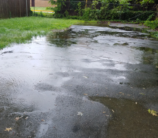 Wet asphalt and grass area, possibly after rain, with puddles reflecting the sky