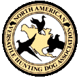 Spinone Club of America